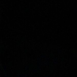 Meet your Posher, Everett